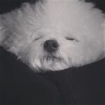 Son Ga-in Instagram - 잘자