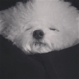 Son Ga-in Instagram - 잘자