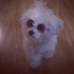 Son Ga-in Instagram - #나민낯이야#왜집이보라색이냐#털좀빗겨줘라엄마야#배냇털이라그래깨깨야#난너의꼬질미가조앙깨깨야
