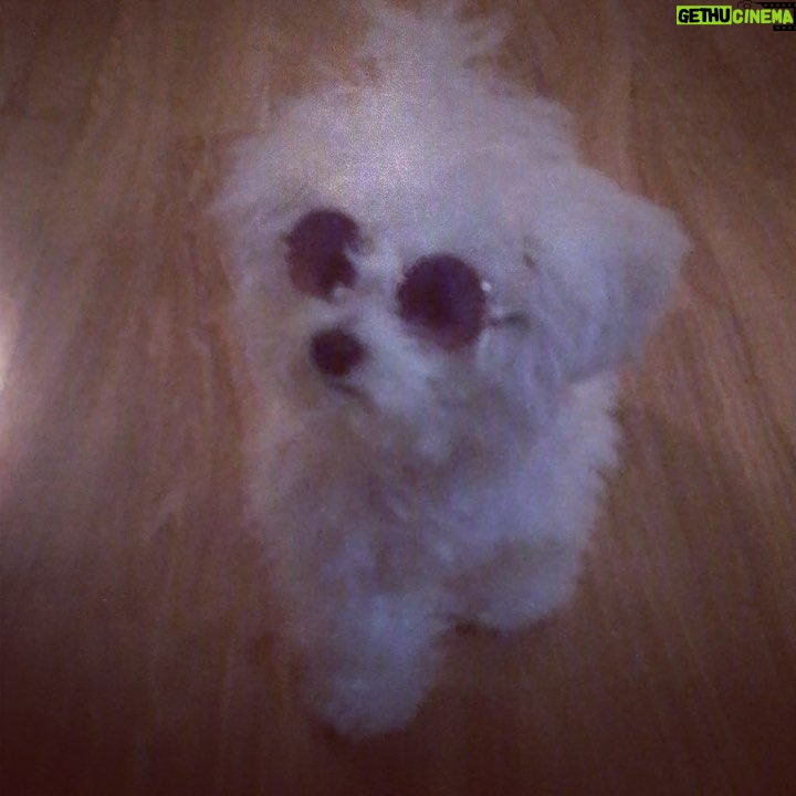 Son Ga-in Instagram - #나민낯이야#왜집이보라색이냐#털좀빗겨줘라엄마야#배냇털이라그래깨깨야#난너의꼬질미가조앙깨깨야