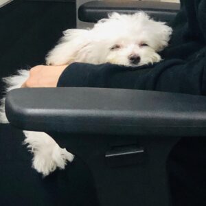 Son Ga-in Instagram - 추석 잘보내세용! ☺️