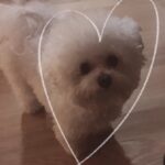 Son Ga-in Instagram –