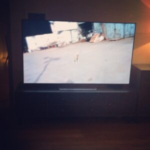 Son Ga-in Instagram - 무섭다고 . . .