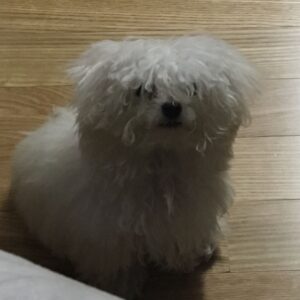 Son Ga-in Instagram - 역시 깨깨는  안씻어야 스웨에에엑