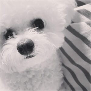 Son Ga-in Instagram - 🐒