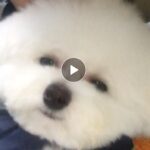 Son Ga-in Instagram - 🙊