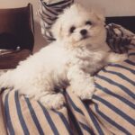 Son Ga-in Instagram -