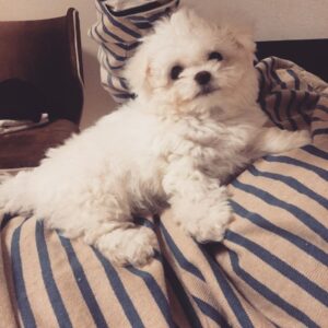 Son Ga-in Instagram - 