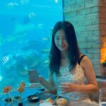 Son Ji-hyun Instagram - 하루종일 힐링 하는 기분 🫢🫢🫢 . . . #kempinskihotel #bali #balihotel #남지여행 #nusadua #peaceful #famliytrip #koral #kempinskibali #발리에온다면이곳추천 #liveinbali