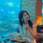 Son Ji-hyun Instagram - 하루종일 힐링 하는 기분 🫢🫢🫢 . . . #kempinskihotel #bali #balihotel #남지여행 #nusadua #peaceful #famliytrip #koral #kempinskibali #발리에온다면이곳추천 #liveinbali