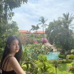 Son Ji-hyun Instagram - 처음으로 온 발리 🍒🌿🌱🪴🎍🌴 많은 사람들이 발리발리 하는이유를 알겠어요… 여행의 맛을 알아가는중 :) 아늑한 호텔에서 시간 힐링 포인트 :) #bali #novotel #nusadua #novotelbalinusadua #liveinbali #발리여행 #발리