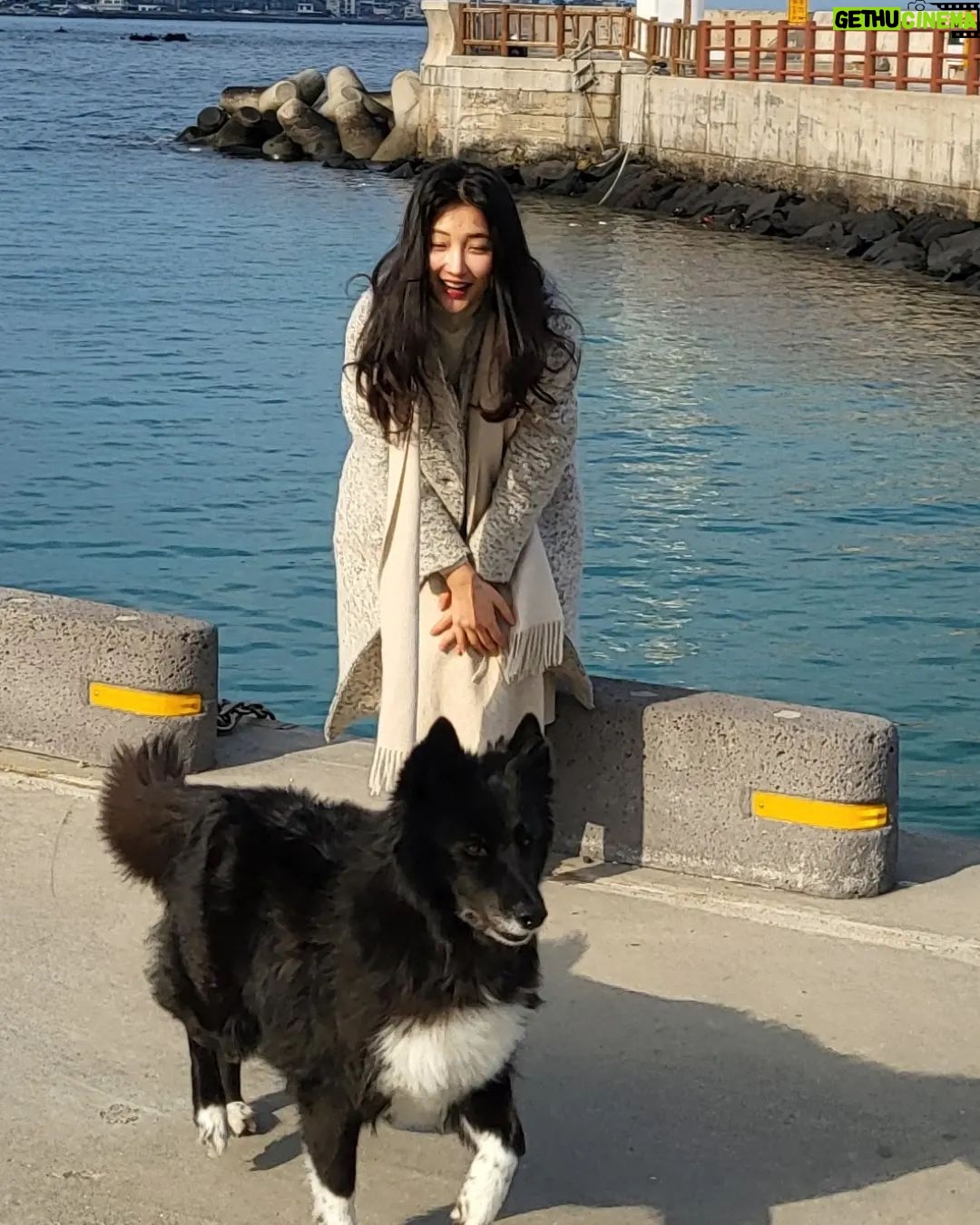 Son Ji-hyun Instagram - 제주에서 만난 샌디..반가워🙂!Photo by @jiahnpark581 @sumalimda 🥰🥰