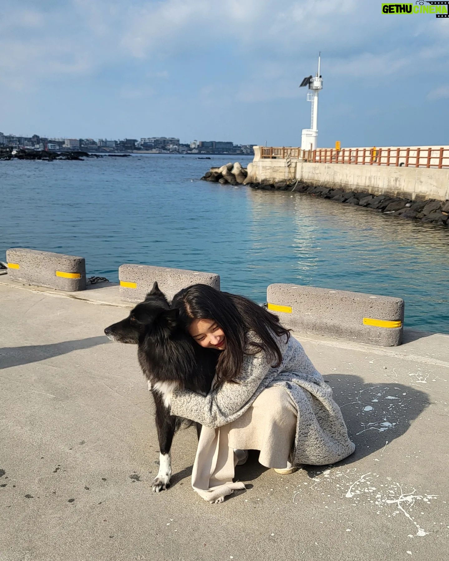 Son Ji-hyun Instagram - 제주에서 만난 샌디..반가워🙂!Photo by @jiahnpark581 @sumalimda 🥰🥰
