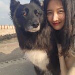 Son Ji-hyun Instagram - 제주에서 만난 샌디..반가워🙂!Photo by @jiahnpark581 @sumalimda 🥰🥰