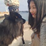 Son Ji-hyun Instagram - 제주에서 만난 샌디..반가워🙂!Photo by @jiahnpark581 @sumalimda 🥰🥰