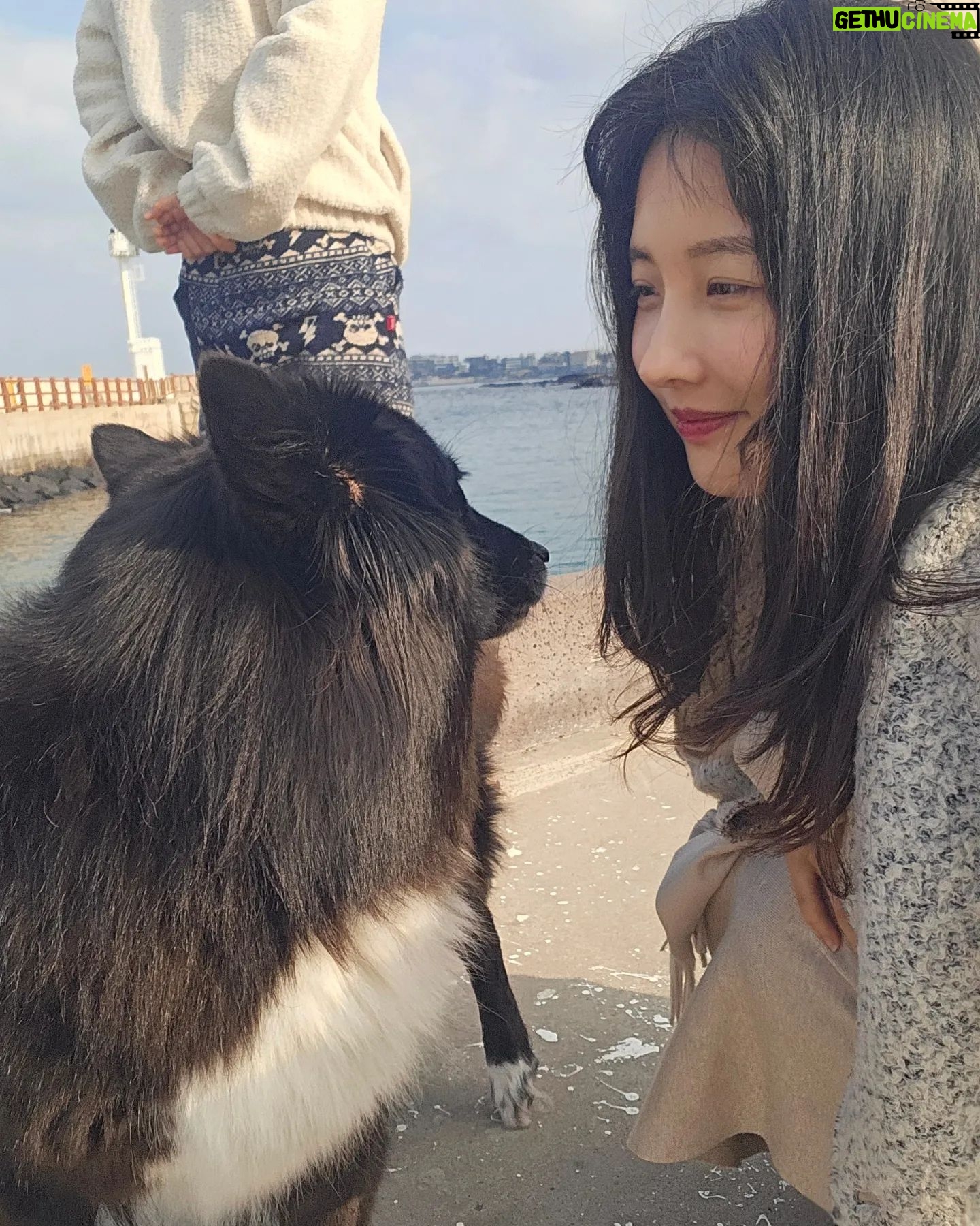Son Ji-hyun Instagram - 제주에서 만난 샌디..반가워🙂!Photo by @jiahnpark581 @sumalimda 🥰🥰
