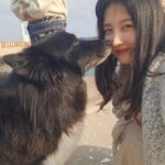 Son Ji-hyun Instagram - 제주에서 만난 샌디..반가워🙂!Photo by @jiahnpark581 @sumalimda 🥰🥰