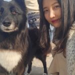 Son Ji-hyun Instagram - 제주에서 만난 샌디..반가워🙂!Photo by @jiahnpark581 @sumalimda 🥰🥰