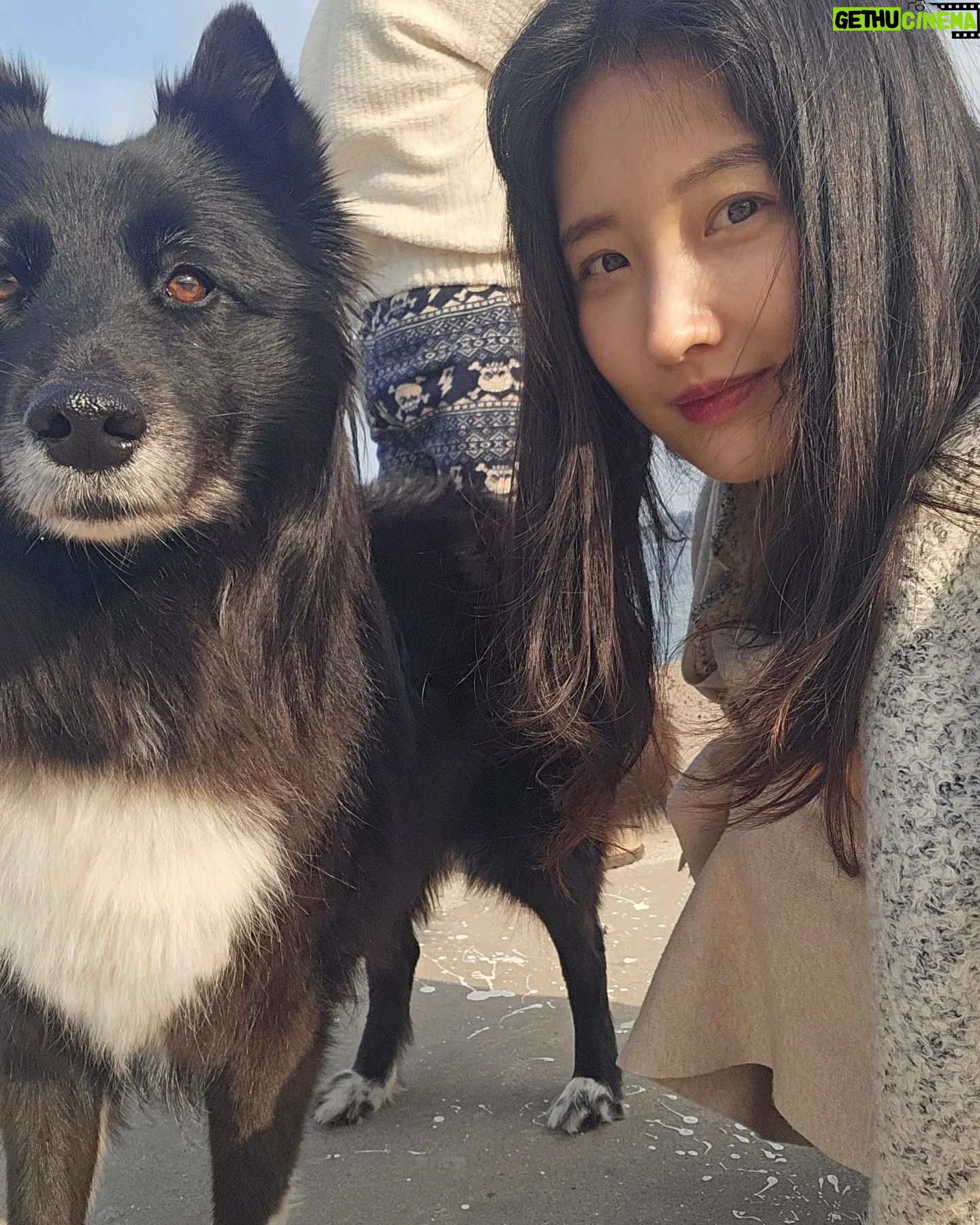 Son Ji-hyun Instagram - 제주에서 만난 샌디..반가워🙂!Photo by @jiahnpark581 @sumalimda 🥰🥰
