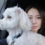 Son Tae-young Instagram – 나도🩷Parker🐶
모두  감기 조심 하시구  좋은 주말 보내세요💜