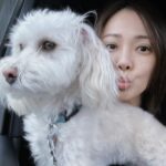 Son Tae-young Instagram - 나도🩷Parker🐶 모두 감기 조심 하시구 좋은 주말 보내세요💜