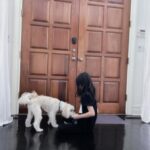 Son Tae-young Instagram – :
오빠 친구 강아지 파커로 
소원 푼  권리호 어린이🩷🐶