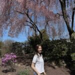 Son Tae-young Instagram - #cherrytree 여름같은 봄🌱
