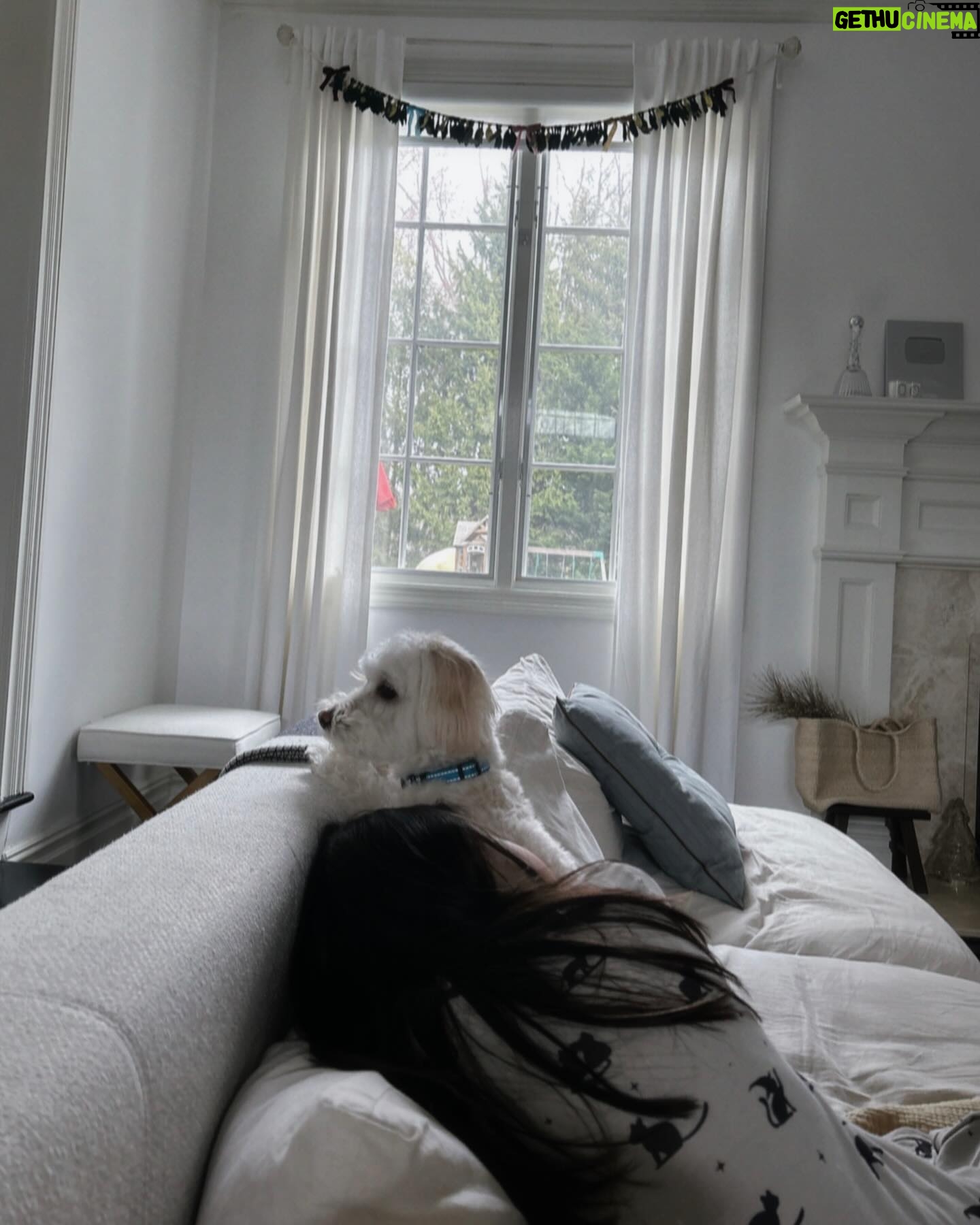 Son Tae-young Instagram - : 놀러 온 강쥐~~~Liho Parker=💚🌱🐶 즐거운 일요일 하루 되세요~~~💚