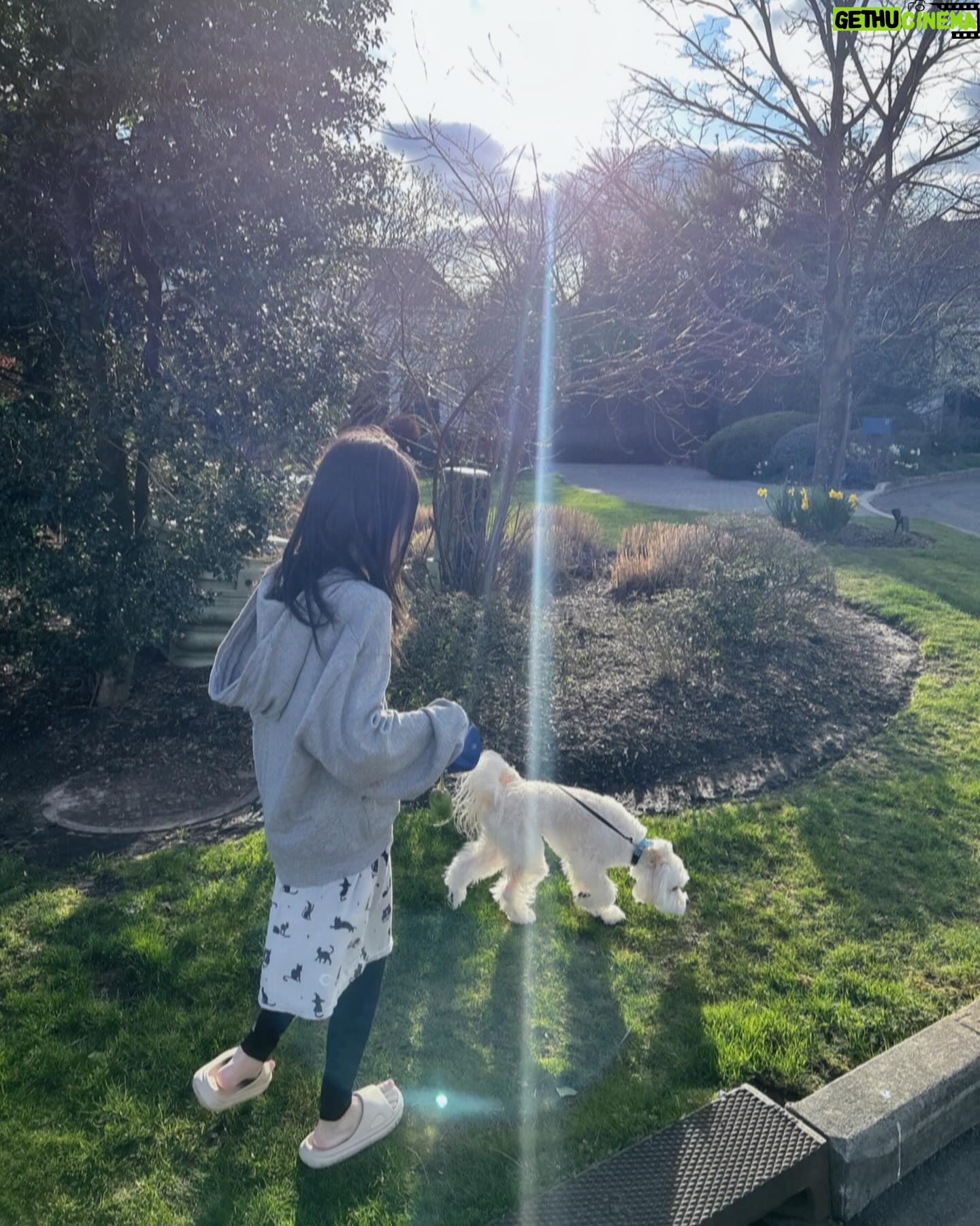 Son Tae-young Instagram - : 놀러 온 강쥐~~~Liho Parker=💚🌱🐶 즐거운 일요일 하루 되세요~~~💚
