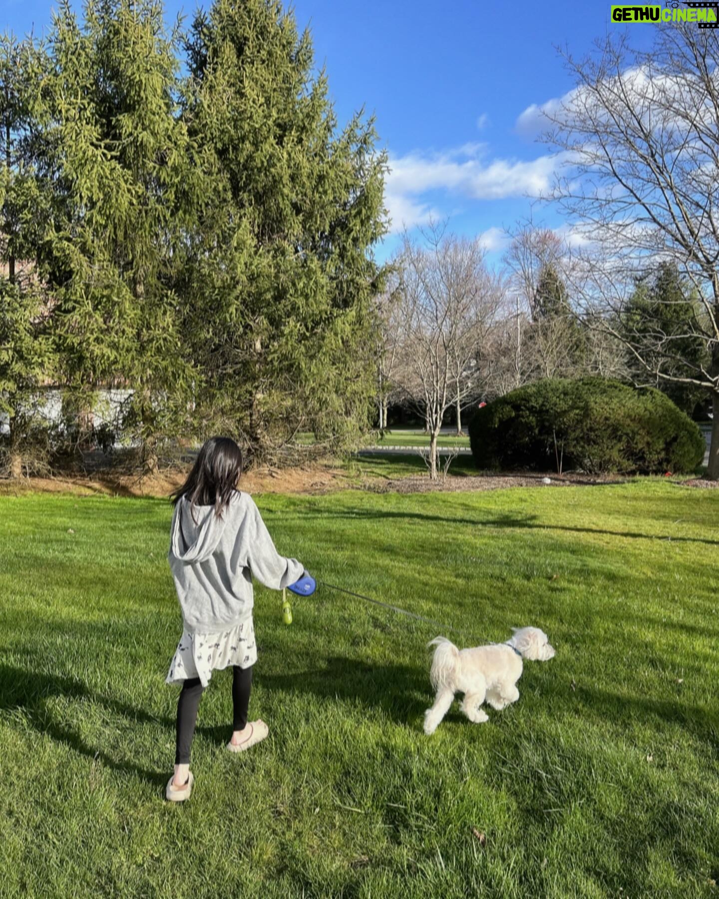 Son Tae-young Instagram - : 놀러 온 강쥐~~~Liho Parker=💚🌱🐶 즐거운 일요일 하루 되세요~~~💚