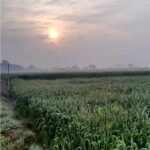 Sonam Lamba Instagram - For all those who need this ray of hope right now. हर सुबह उगता सूरज अपने साथ ज़िंदगी की नई शुरुवात करने की उम्मीद लेके आता है गम मुसाफिर था जाने दे, धूप आंगन मे आने दे जीते हैं चल बुरे दिन और बुरी यादों को भुला के आगे बढ़ जीते हैं चल जीते हैं चल.. 🌄