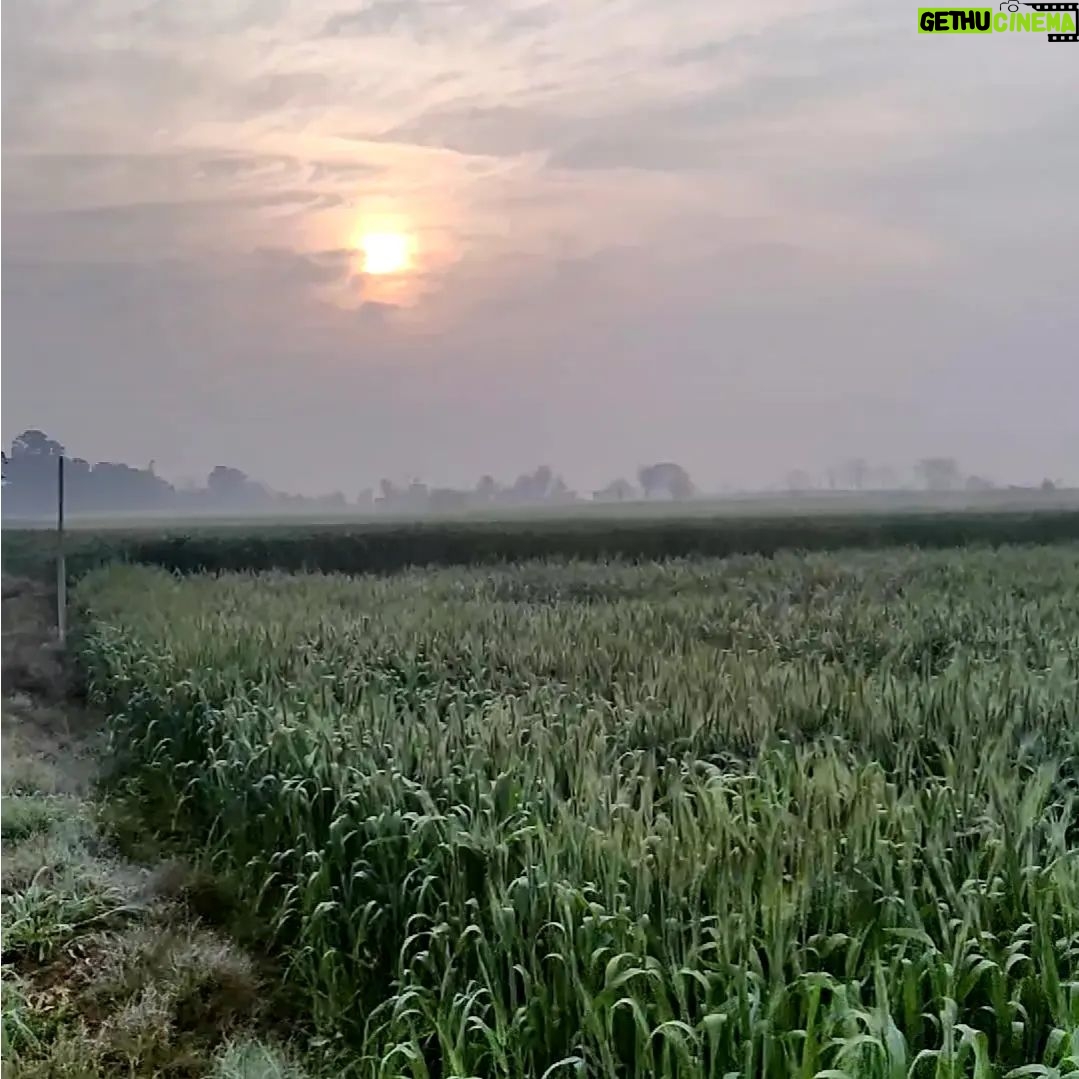 Sonam Lamba Instagram - For all those who need this ray of hope right now. हर सुबह उगता सूरज अपने साथ ज़िंदगी की नई शुरुवात करने की उम्मीद लेके आता है गम मुसाफिर था जाने दे, धूप आंगन मे आने दे जीते हैं चल बुरे दिन और बुरी यादों को भुला के आगे बढ़ जीते हैं चल जीते हैं चल.. 🌄