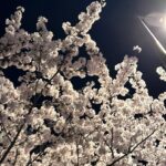 Song Su-i Instagram - ૮꒰ྀི σ̴̶̷̤ . σ̴̶̷̤ ꒱ྀིა … 팝콘이다 … 🌸🍿