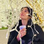 Sonia Rathee Instagram - Lights and hot cocoa