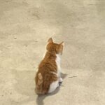 Soobin Instagram - 아주오랜만에 산책 🪴🏃‍♀️