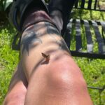 Sophia Ali Instagram - Is it mating season or what
