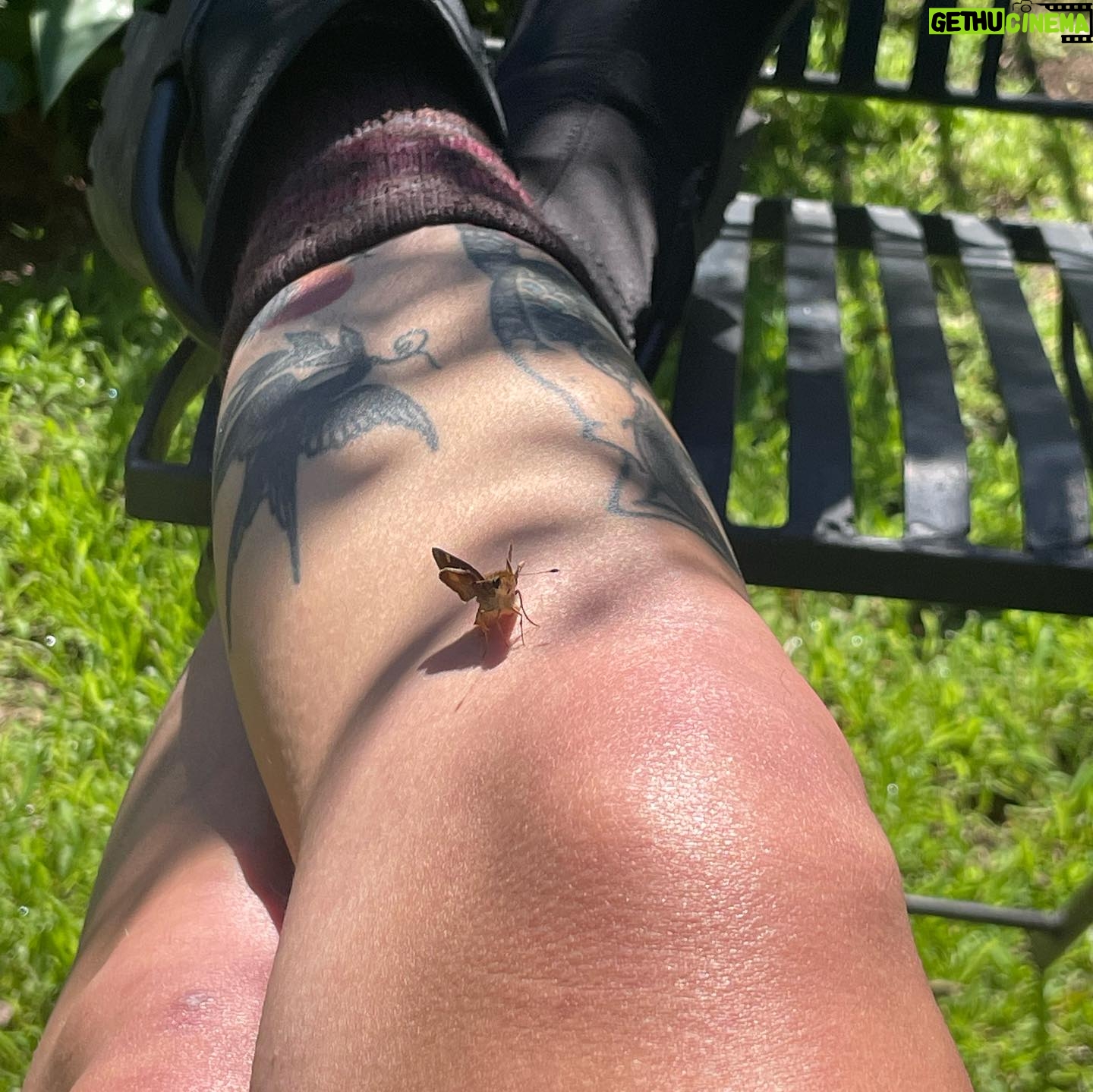 Sophia Ali Instagram - Is it mating season or what