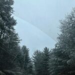 Sophia Anne Caruso Instagram – Photo dump / photo by Andrew, self portrait I started, friends, upstate, and some random ones
