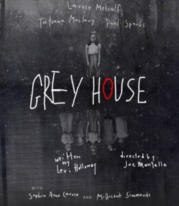 Sophia Anne Caruso Instagram - I’m back to Broadway this spring in a new play called GREY HOUSE. Certainly one of the most terrifying plays I’ve read. I can’t wait to tackle it with this gifted cast and creative team! Feeling gratitude 🙏