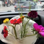 Sophia Anne Caruso Instagram - Spring