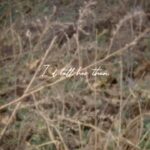Sophia Regina Allison Instagram - So happy to finally share “lost” with u guys 😱🩵 This one is very close to my heart. Thank you to everyone who helped make it and to those who take the time to listen 🦋 “Lost” video by @annamalize