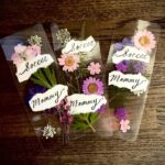 Sophia Regina Allison Instagram - The Lost Shows start Friday 🩵 these pressed flower bookmarks will be given out to the first 50 people who arrive at each of the shows, so get there early! 🌸