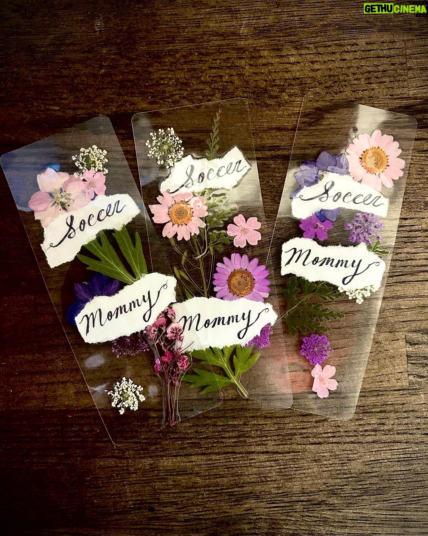Sophia Regina Allison Instagram - The Lost Shows start Friday 🩵 these pressed flower bookmarks will be given out to the first 50 people who arrive at each of the shows, so get there early! 🌸