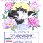 Sophia Regina Allison Instagram - Very excited to share that @TTSSFU will be joining me for all UK shows this summer! Also, Newcastle’s venue has been upgraded, and Cambridge is now low on tickets. See you soon 💖 Tickets in bio Flyer design by @elegante_dude