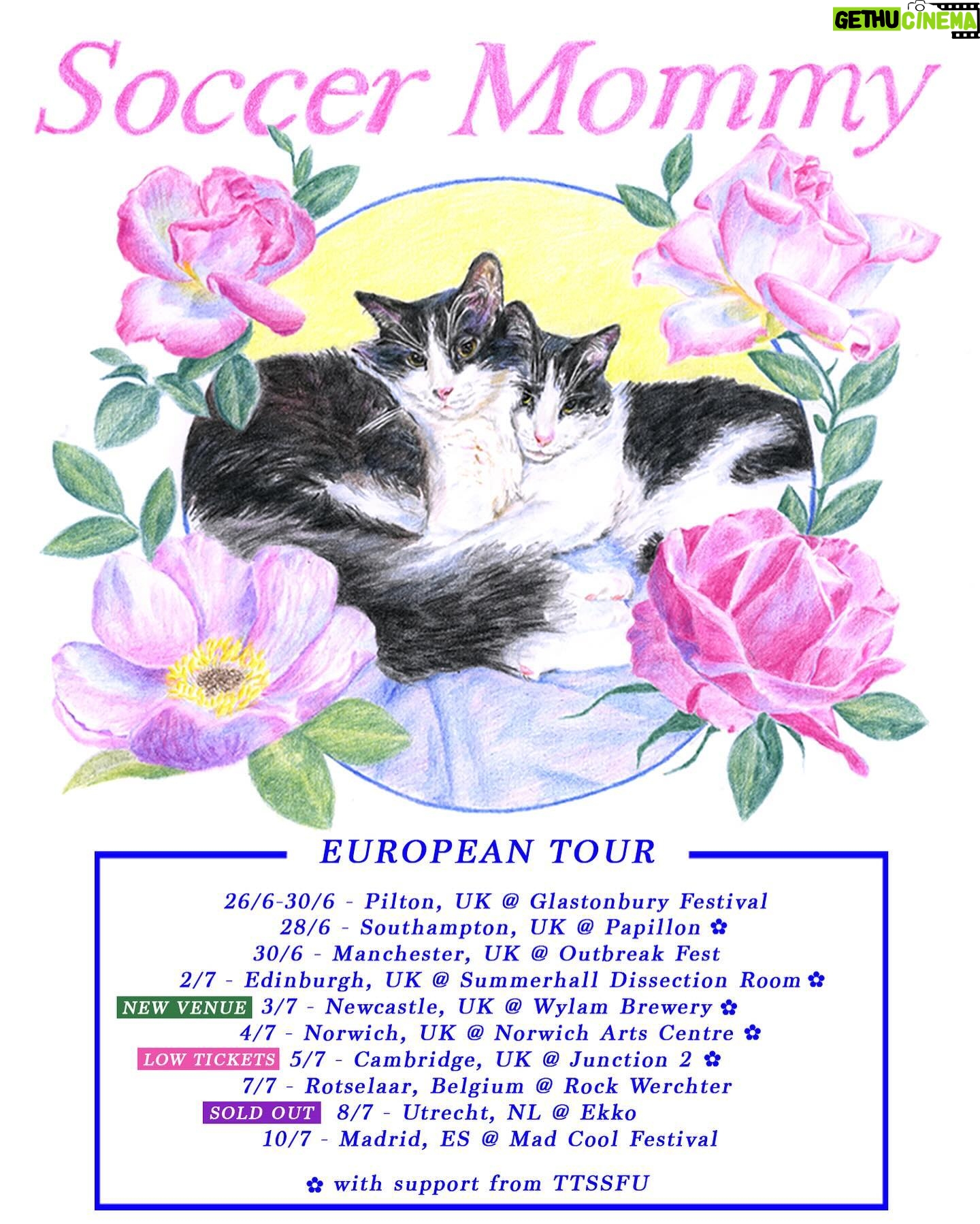 Sophia Regina Allison Instagram - Very excited to share that @TTSSFU will be joining me for all UK shows this summer! Also, Newcastle’s venue has been upgraded, and Cambridge is now low on tickets. See you soon 💖 Tickets in bio Flyer design by @elegante_dude