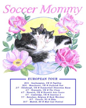 Sophia Regina Allison Instagram - Tickets are on sale now for all UK/EU shows   festivals 🩵 Link in bio