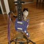 Sophia Regina Allison Instagram - 🙊🙊🙊 new lucite bb 😵 made by the amazing @scalemodelguitars 🙌