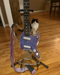 Sophia Regina Allison Instagram - 🙊🙊🙊 new lucite bb 😵 made by the amazing @scalemodelguitars 🙌