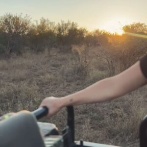 Sophie Morgan Instagram - Accessible Safari, anyone?!

This is INCREDIBLE place is Ximuwu (@ximuwu.safari.lodge) in South Africa…it’s the World’s First Luxury   Accessible Private Safari Lodge and you can win a FREE TRIP through Wheel The World (@wheeltheworld)! 

Head to @ximuwu.safari.lodge for more info and enter the GIVEAWAY via @wheeltheworld 

Link to read my @CondeNastTraveller article about my trip to Ximuwu last year via the link in my stories. 

#AccessibleSafari #Wheelchair #Adventure #WheelTheWorld #Safari #InclusiveDesign #IncluTravel