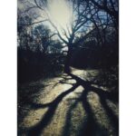 Sophie Cookson Instagram -